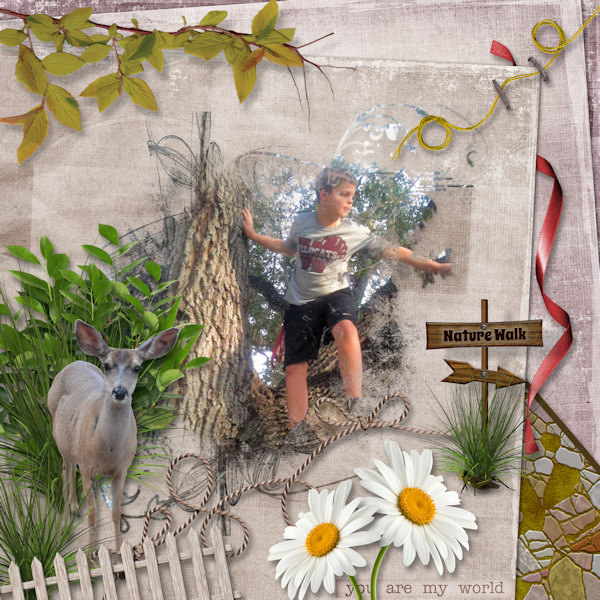 Nature Walk