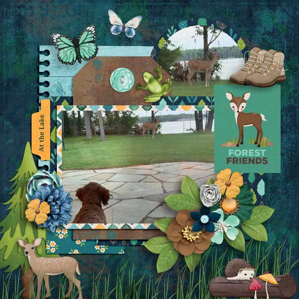 Nature-Wanderer-Aprilisa_PicturePerfect259_template3.jpg
