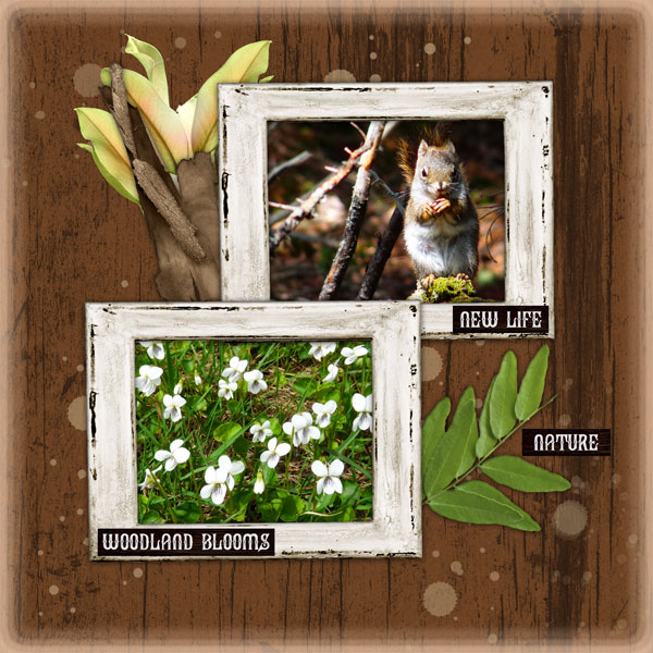 Nature + Woody Treasures