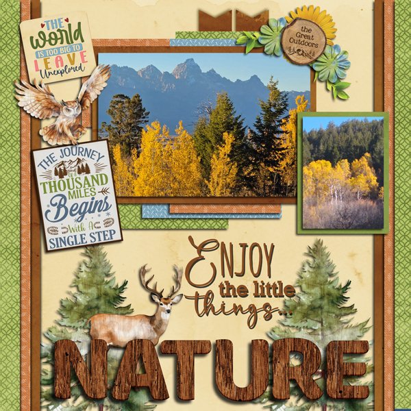 Nature