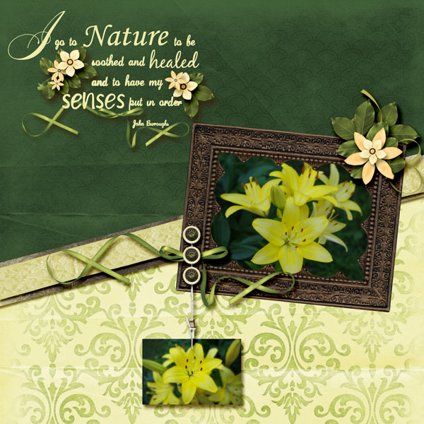 Nature3