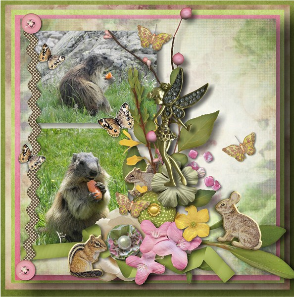 nature6
