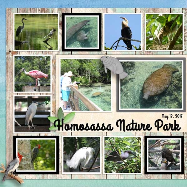 Nature_Park_20171
