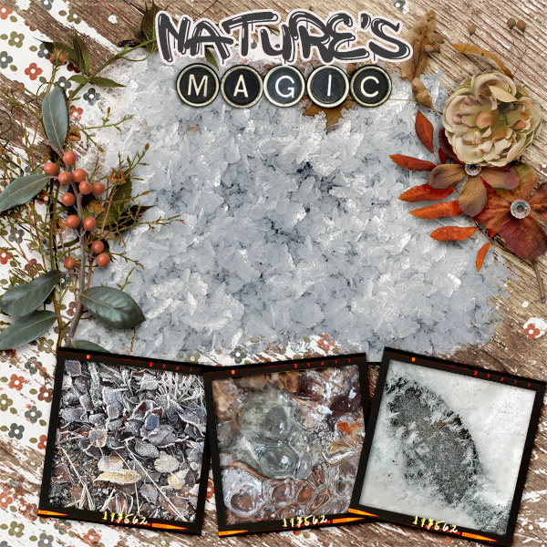 Nature_s-magic