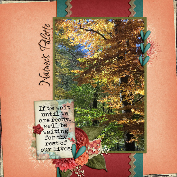 Nature_s-Palette-2021
