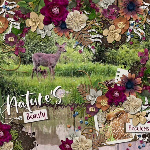 Nature_s_Beauty_med_-_1