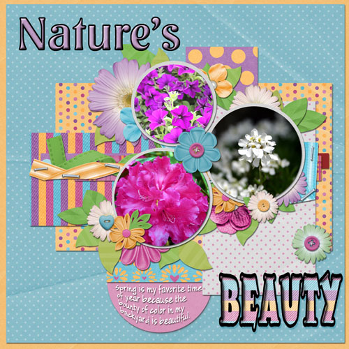 Nature's Beauty