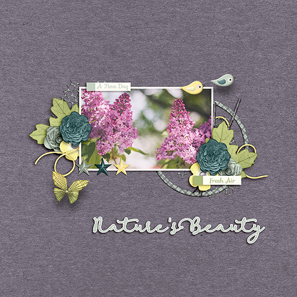 Nature's Beauty