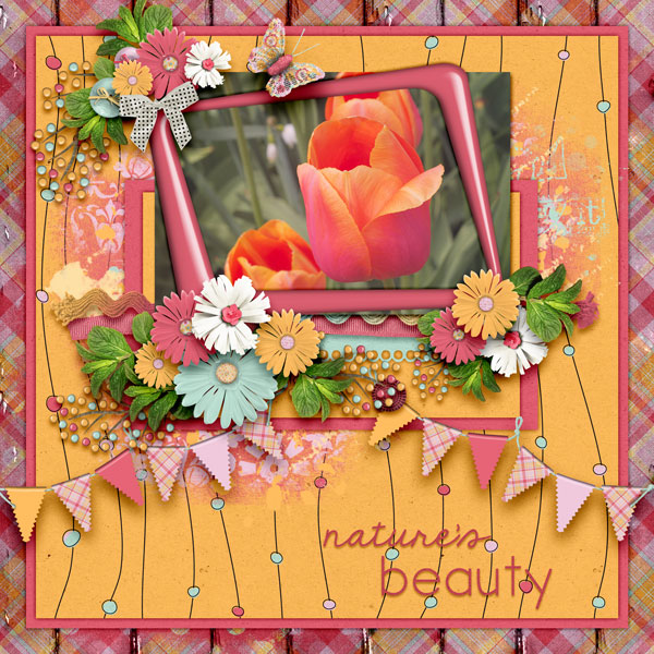 Natures Beauty
