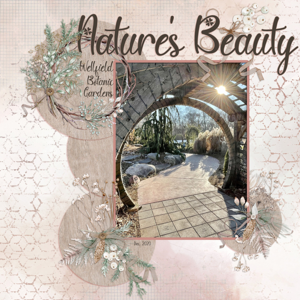 Nature's Beauty