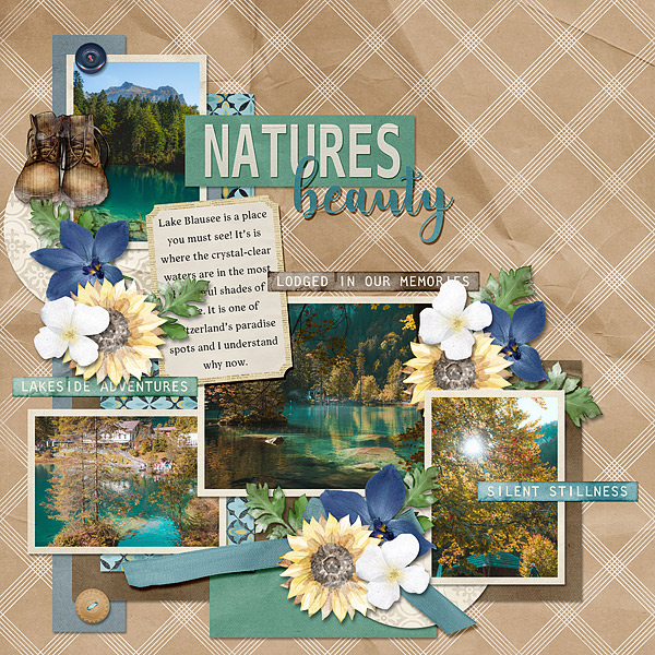Nature's Beauty