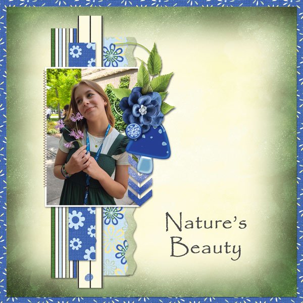 Nature's Beauty