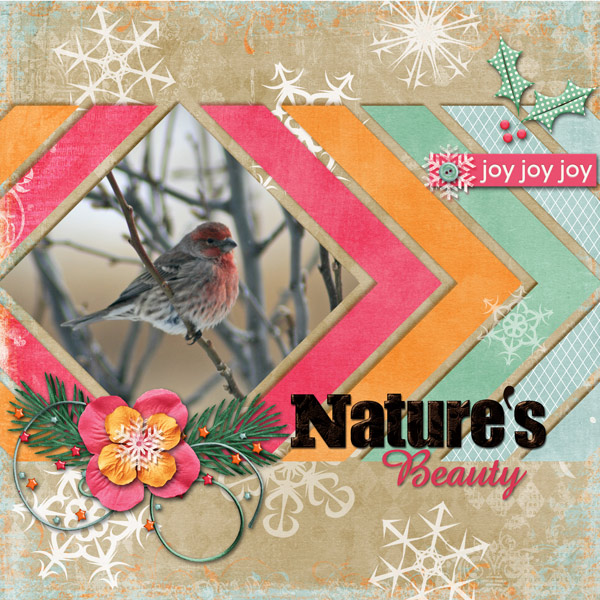 Nature's Beauty