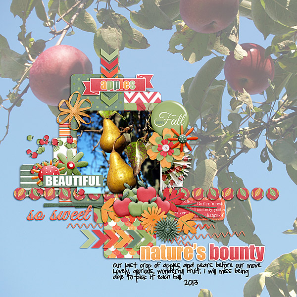 Nature's Bounty
