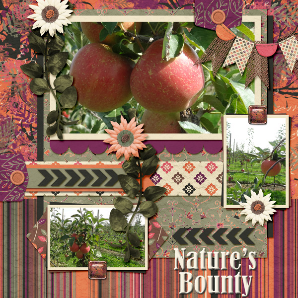 Natures Bounty