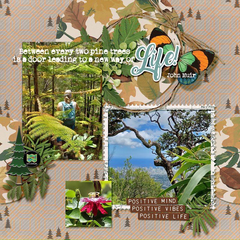 Nature's-Door-webv.jpg