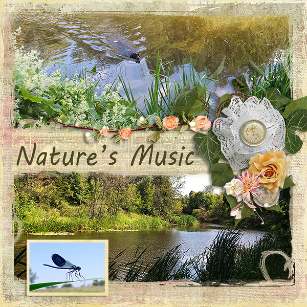 Natures Music