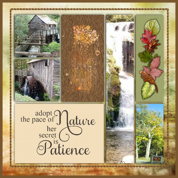 Natures Pace