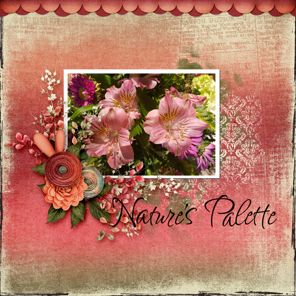 Natures Palette