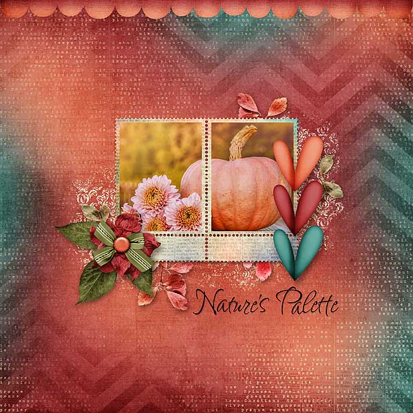 Natures Palette