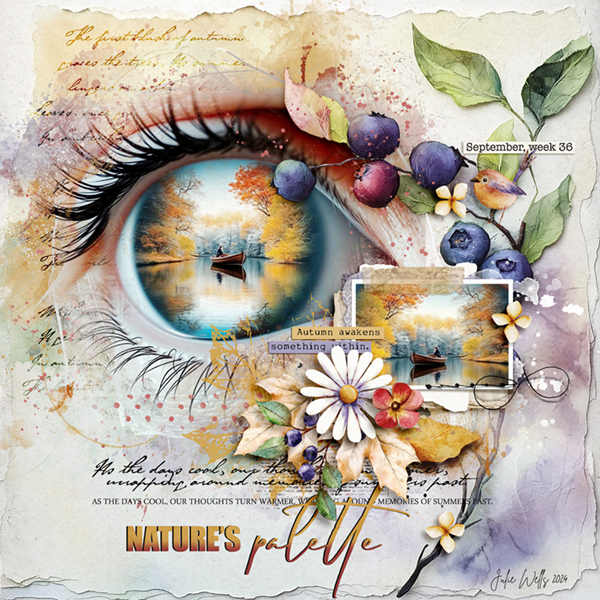 nature's palette