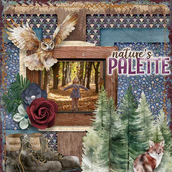Natures Palette
