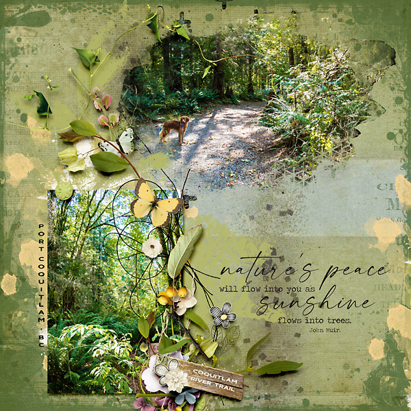 Natures Peace