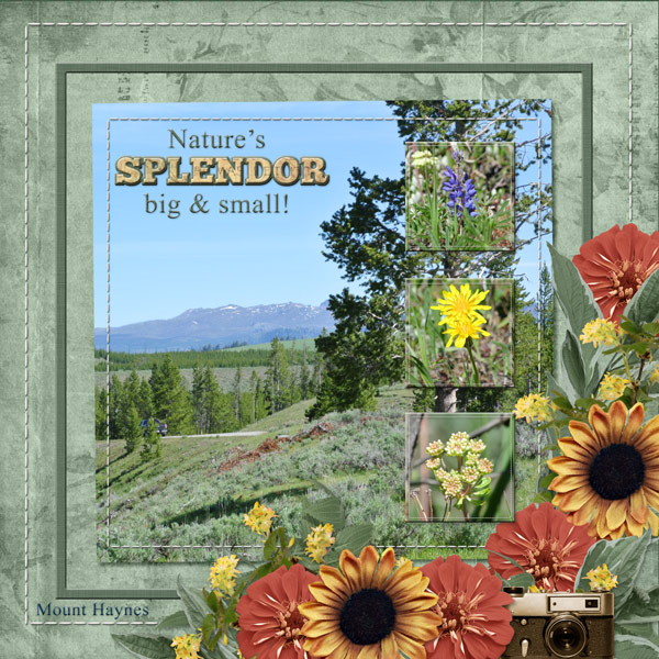 Nature's SPLENDOR big + small