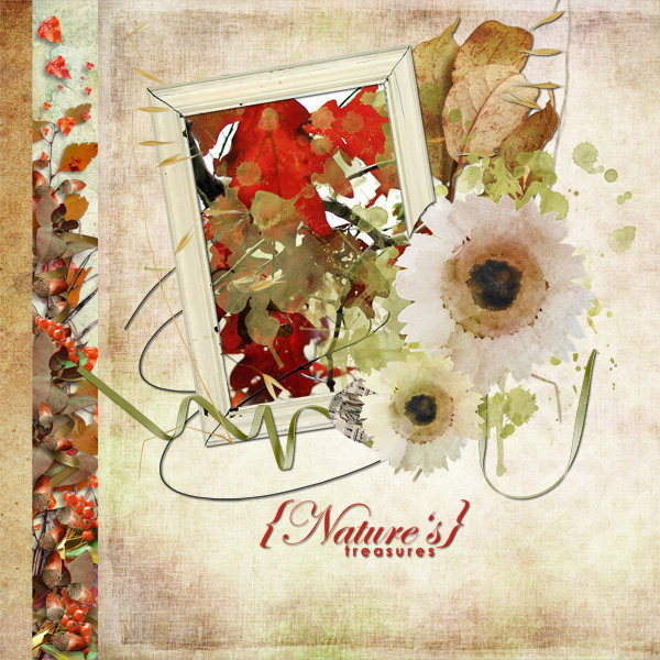 Nature's Treasures