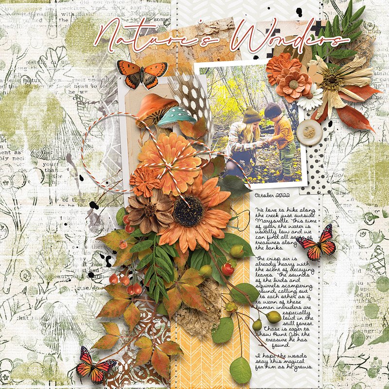 Natures-Wonders.jpg