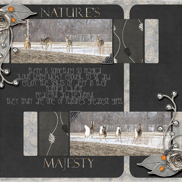 NaturesMajesty-600