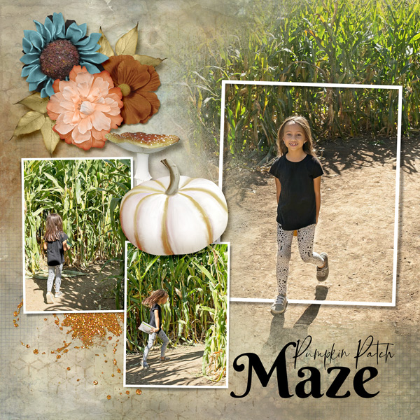 Navigating the Maze right