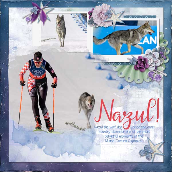 Nazul!-webv.jpg