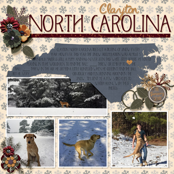 NC Snow 2018 L