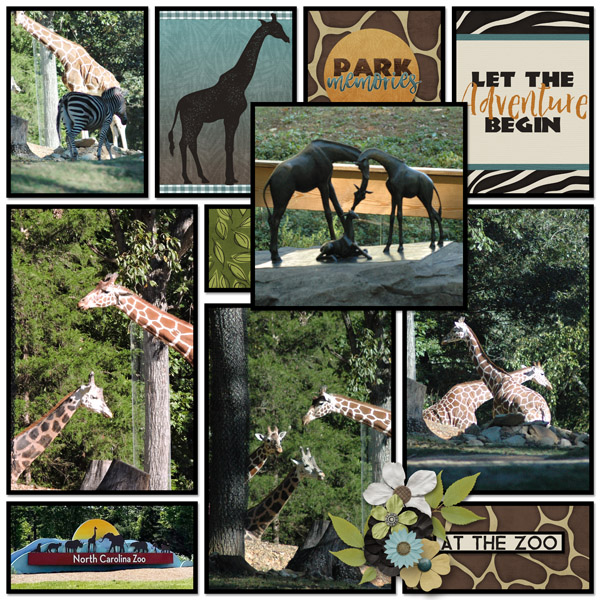 NC Zoo Giraffes
