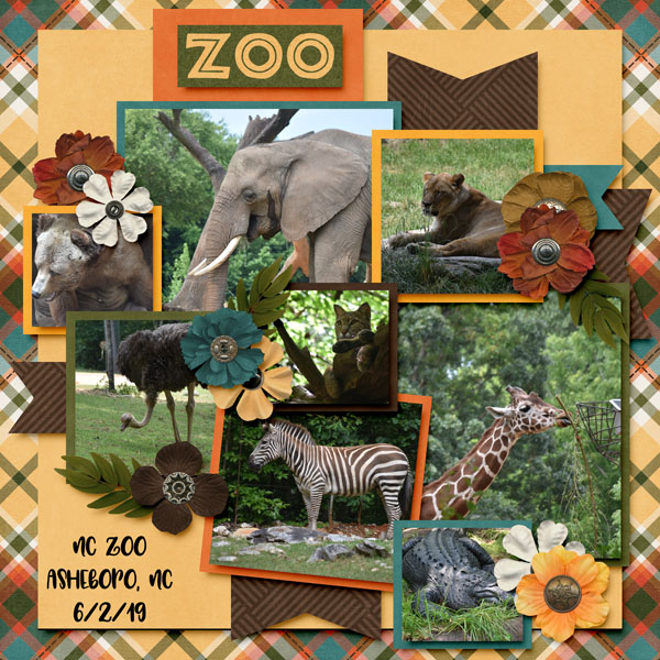 NC Zoo