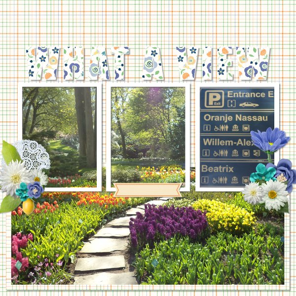 Neatherlands: garden and tulip fields.jpg