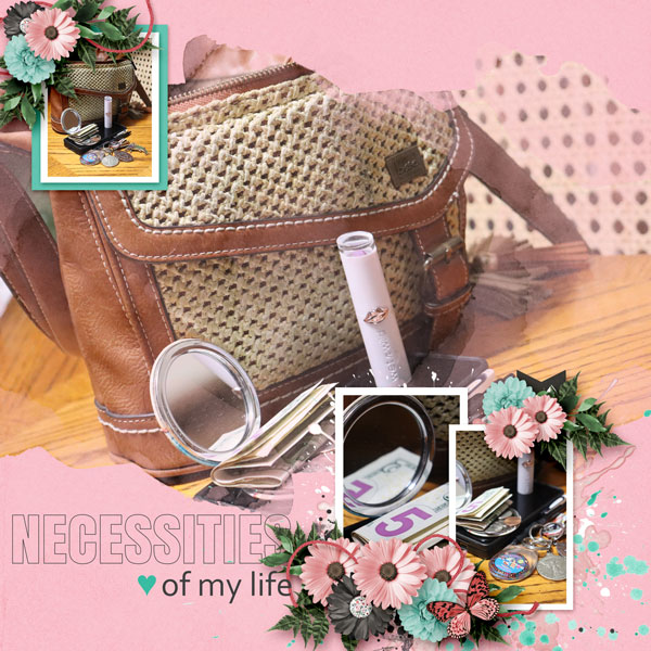 Necessities of my life