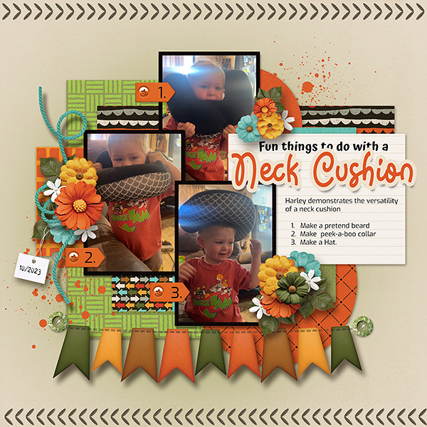 Neck Cushion