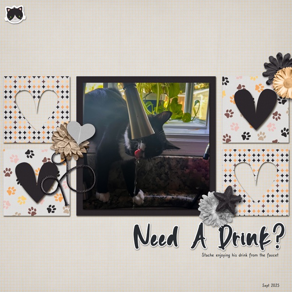 Need ADrink