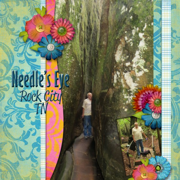 Needle