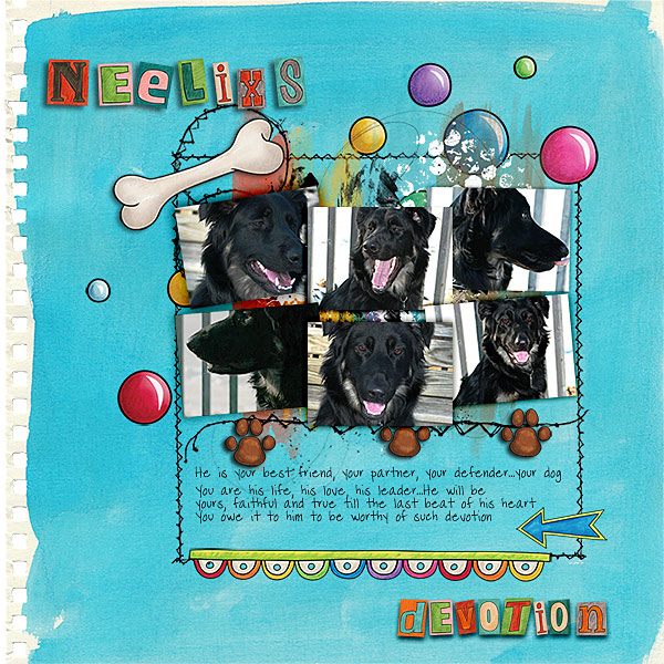 Neelixs Devotion