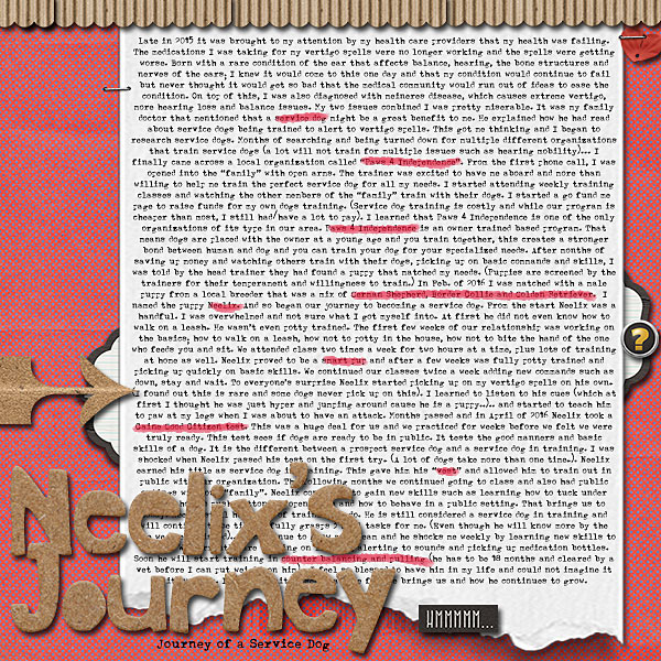Neelix's Journey