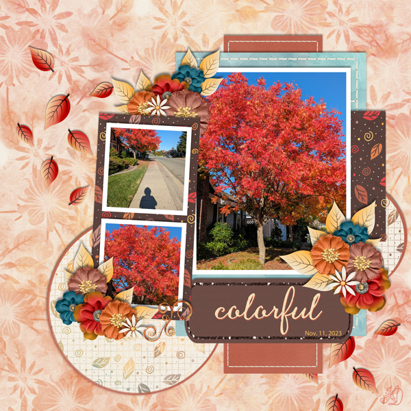 neighborhood red tree