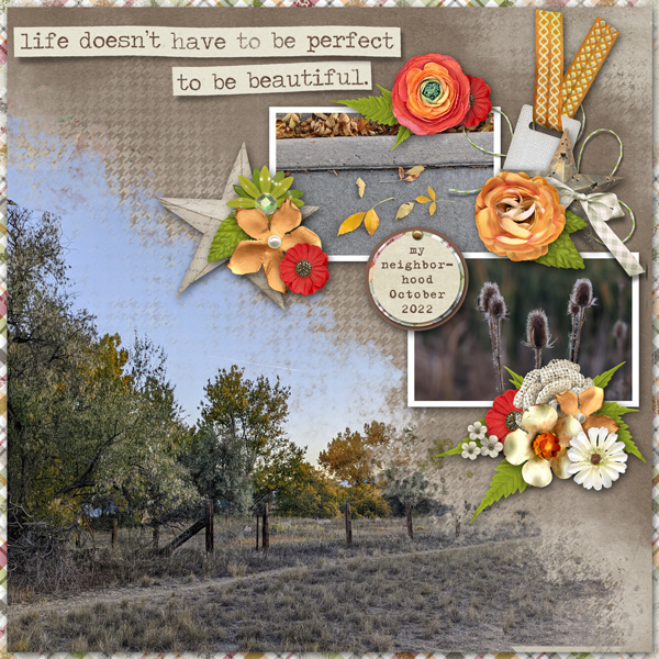 Neighborhood walk in fall