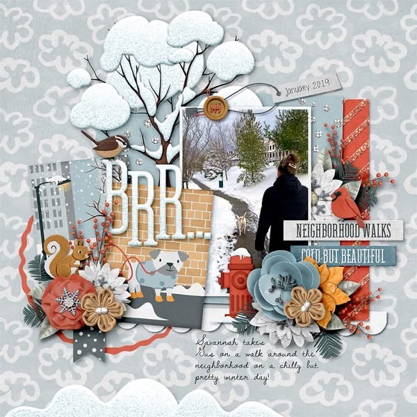 Neighborhood Walk