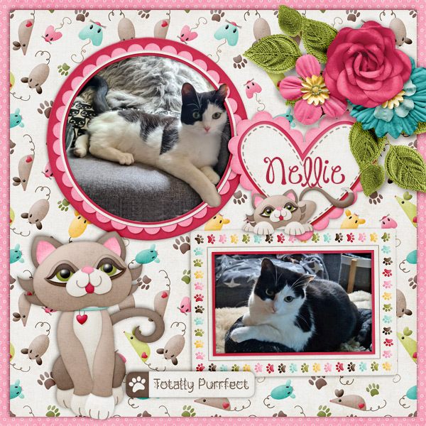 Nellie1