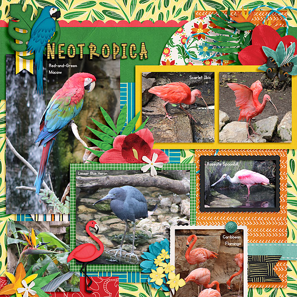 Neotropica