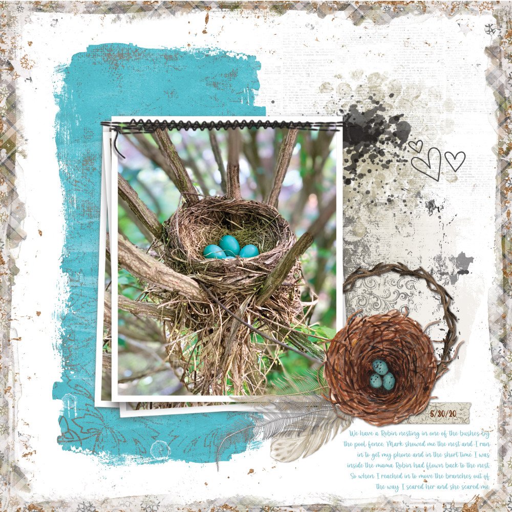 Nest 5-30-20