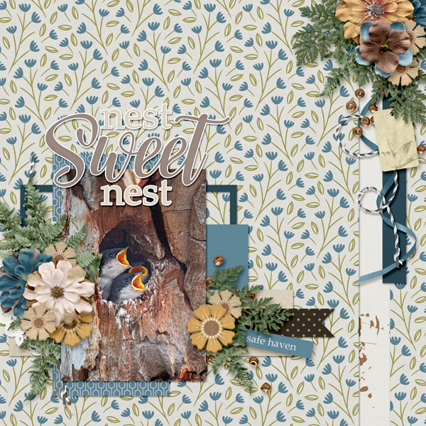 Nest Sweet Nest
